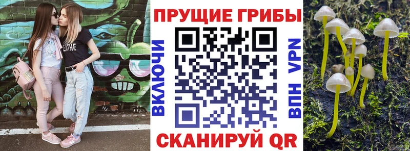 Галлюциногенные грибы Cubensis  Ижевск 